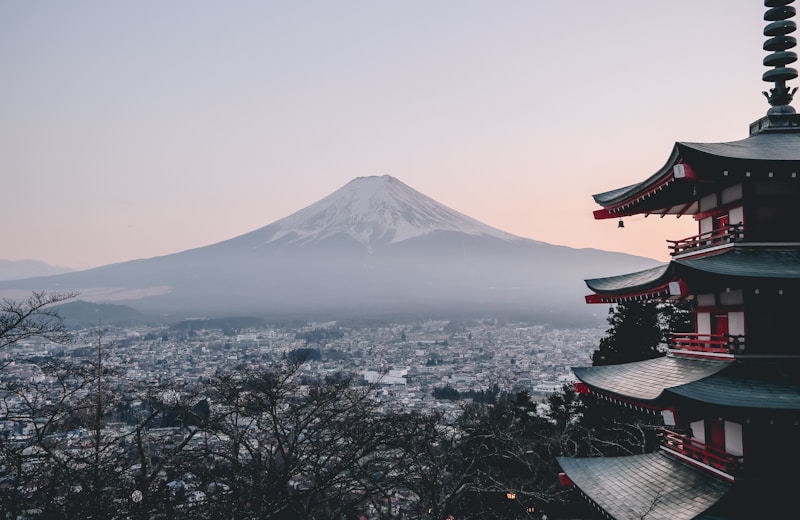 China Business Tour